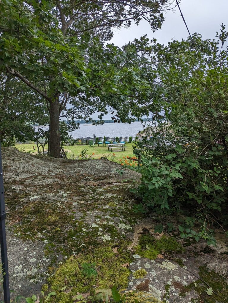 451501165_1011406837651838_4560322835245963154_n