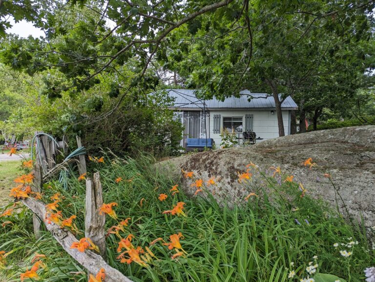 451549149_1011406757651846_6208158807277108492_n