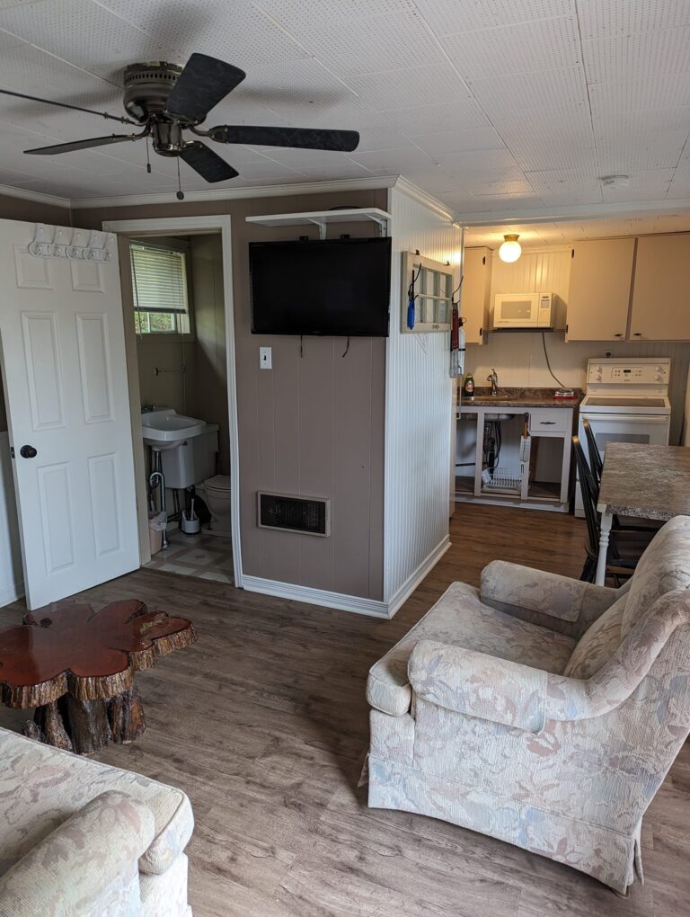 451561002_1011406987651823_2488048732248377315_n